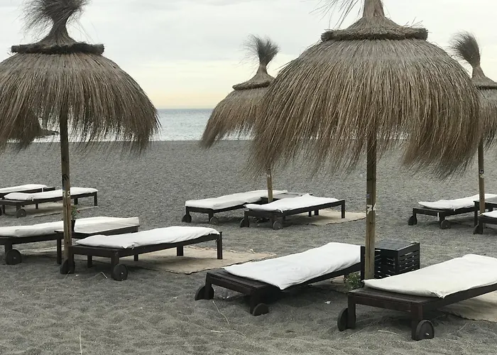 El Jardin De Punta Paloma